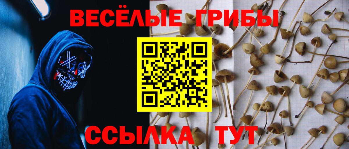 хочу наркоту  Галлюциногенные грибы мицелий  Вход с VPN  Майкоп 