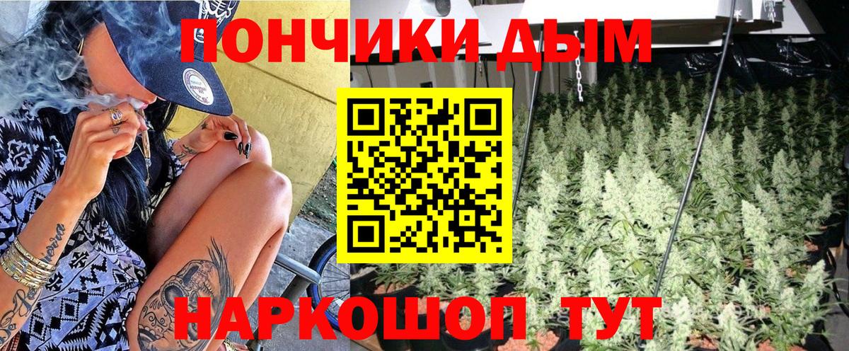 Шишки марихуана Bruce Banner  Вход с VPN  Канабис план  Майкоп  Каннабис гибрид 