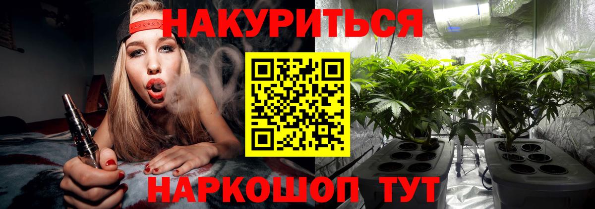 Каннабис гибрид Майкоп